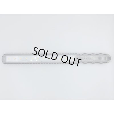 画像1: スキニーライト EX